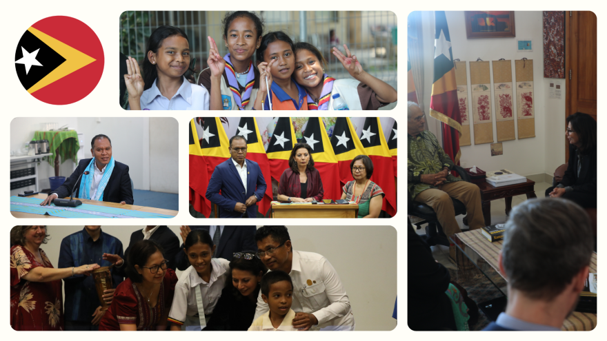 Collage from the mission to Timor Leste.
