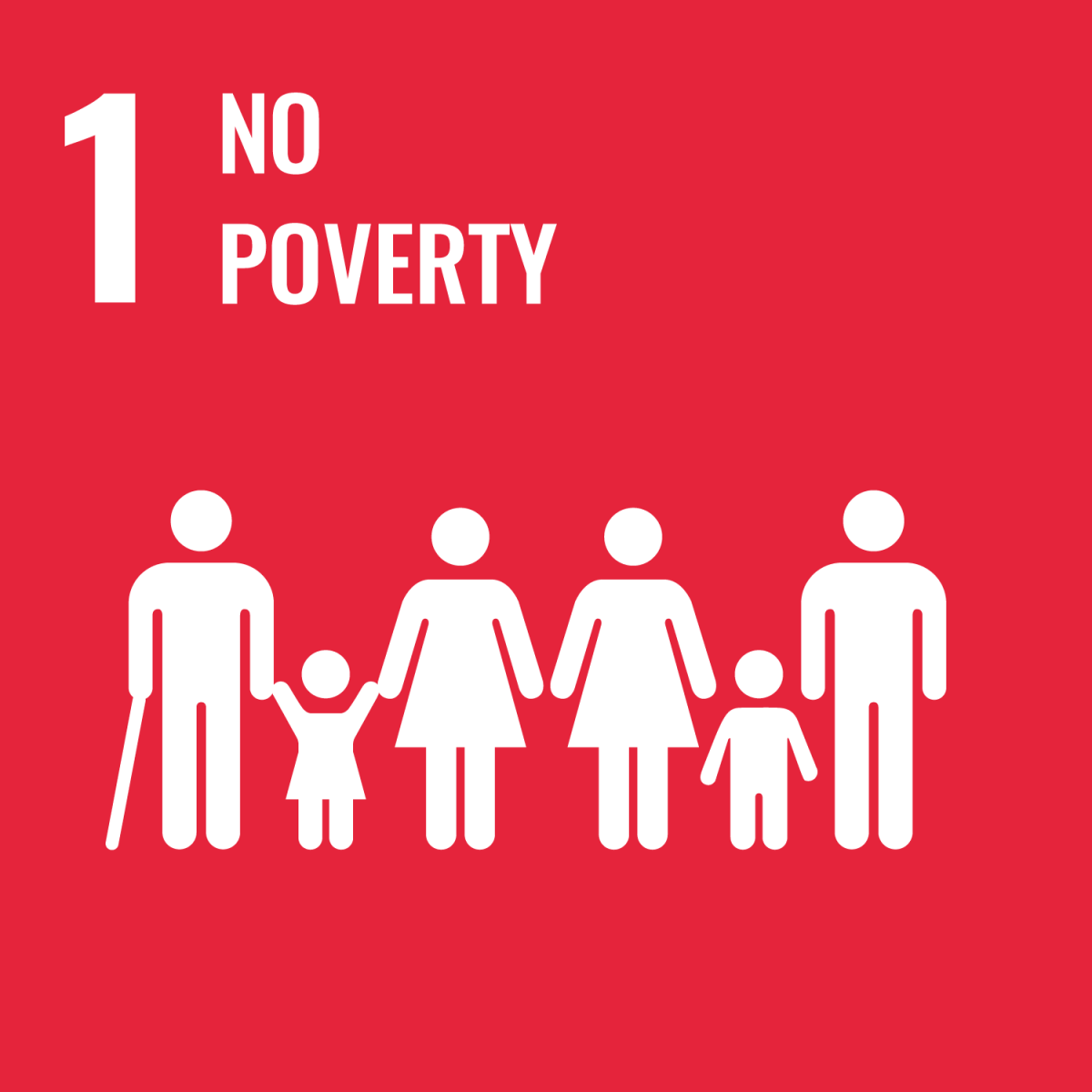 Poverty UN Special Representative of the Secretary General on 